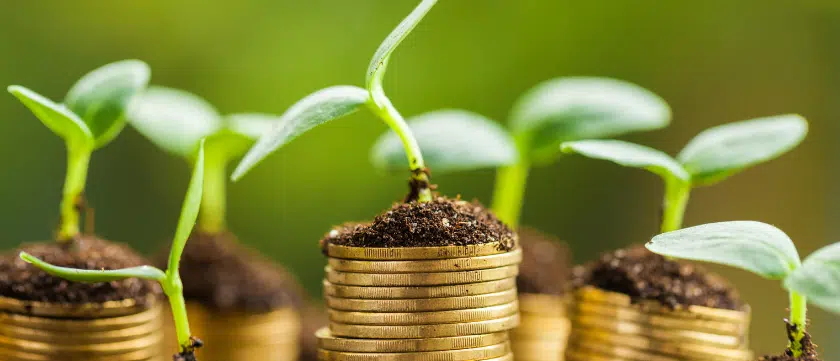 Seedlings growing out of a stack of coins, representing financial growth